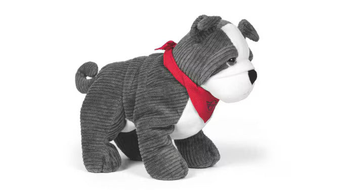 MINI Bulldogge 2.0